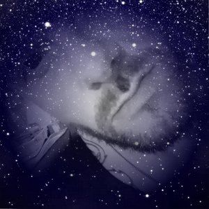 Meet your Posher, Jesse